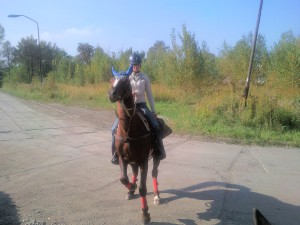 snc00389