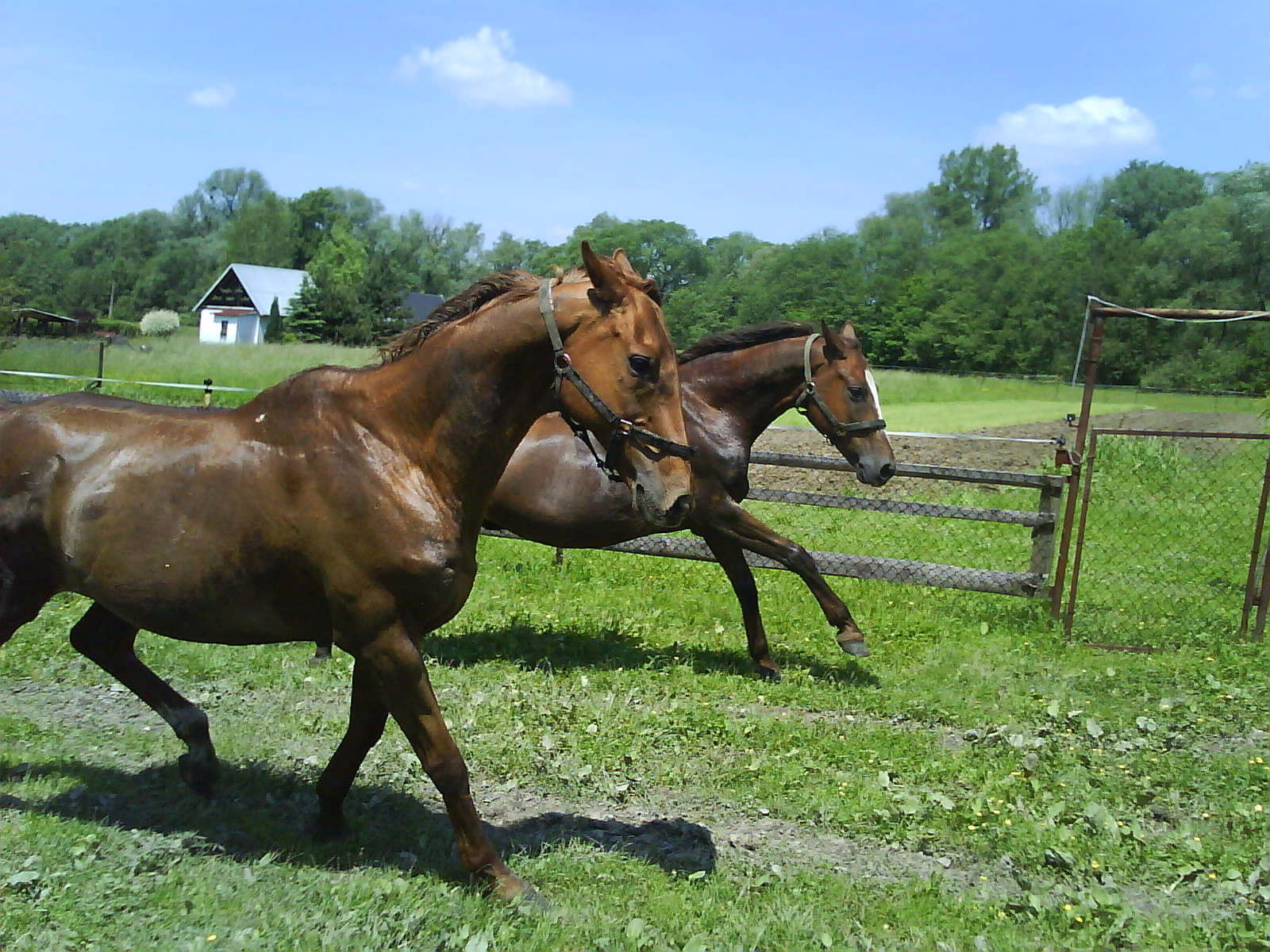 387e82fbf5_65822432_o2