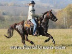 hubert u luka201014
