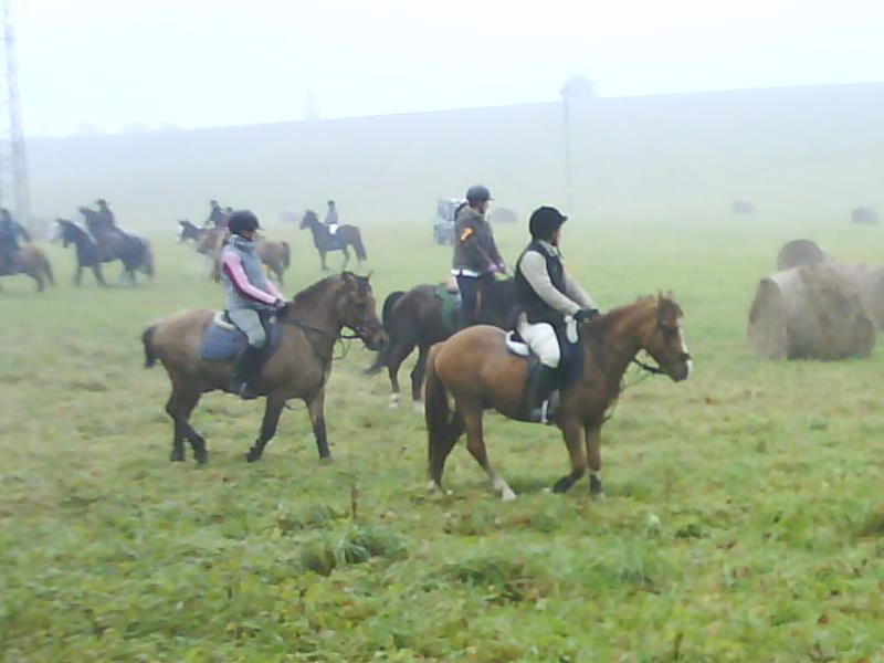 DSC00962
