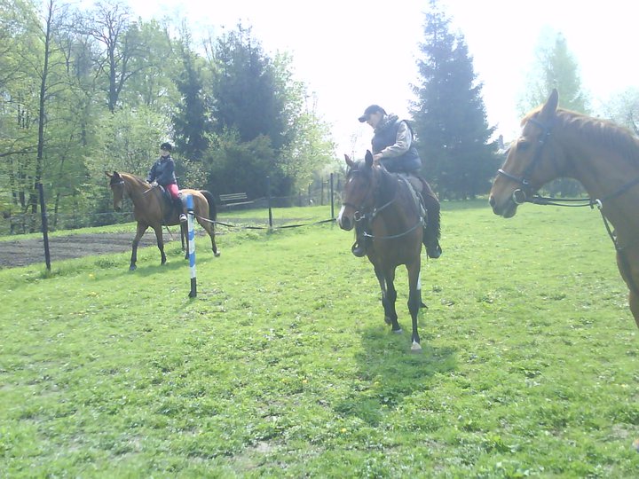 222735_114440845308731_100002284485554_152721_5969714_n