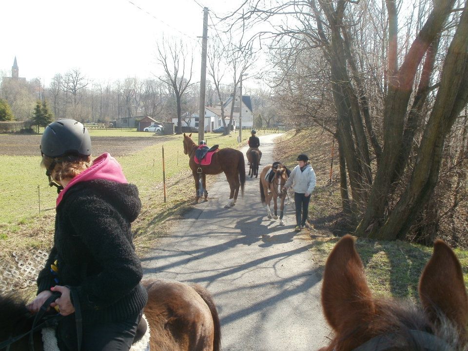 374089_377318018975562_1223253162_n