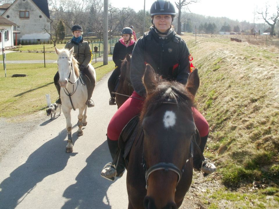 383456_377317115642319_100000921000593_1090656_862183202_n