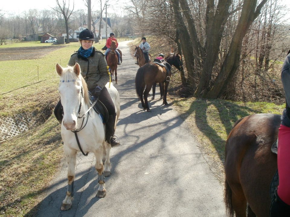 427922_377317432308954_100000921000593_1090661_889723903_n