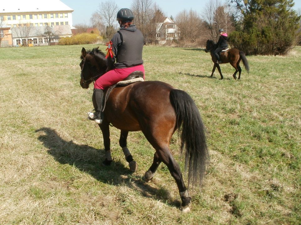 522306_377318395642191_100000921000593_1090672_77466162_n