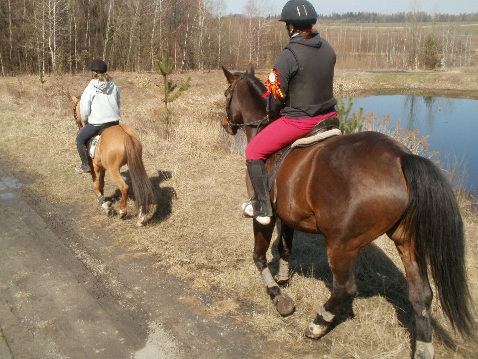 528520_377318888975475_100000921000593_1090678_396795803_n