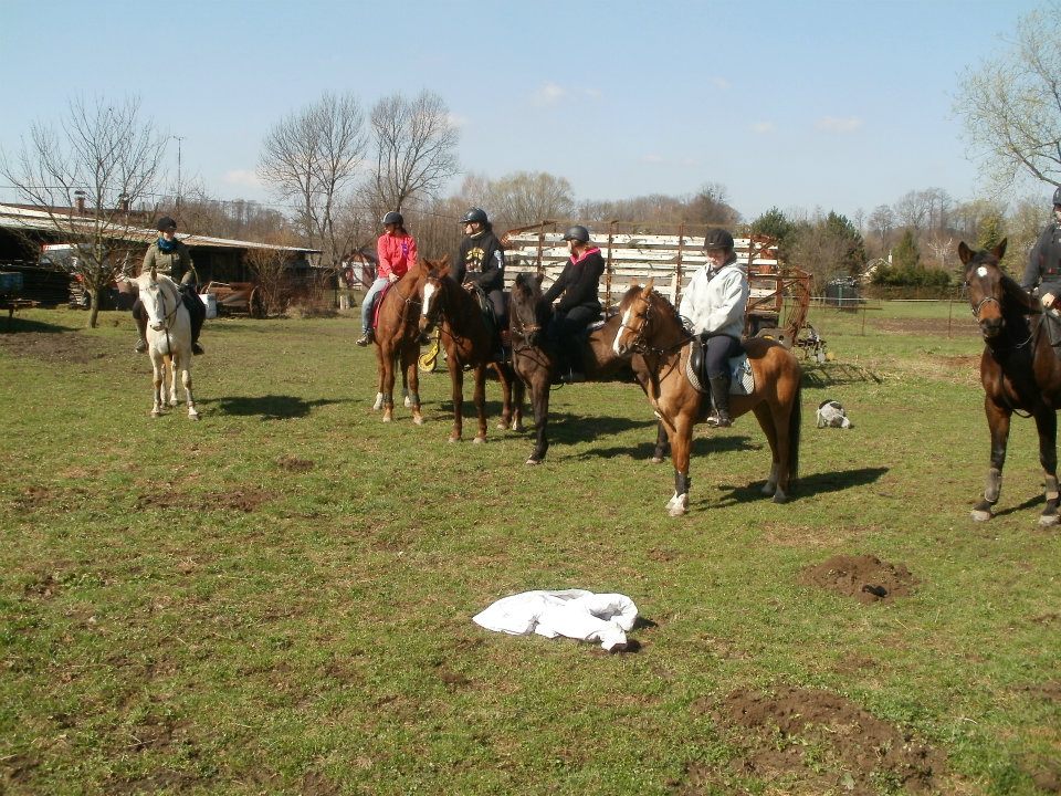 532748_377316545642376_100000921000593_1090649_550939626_n