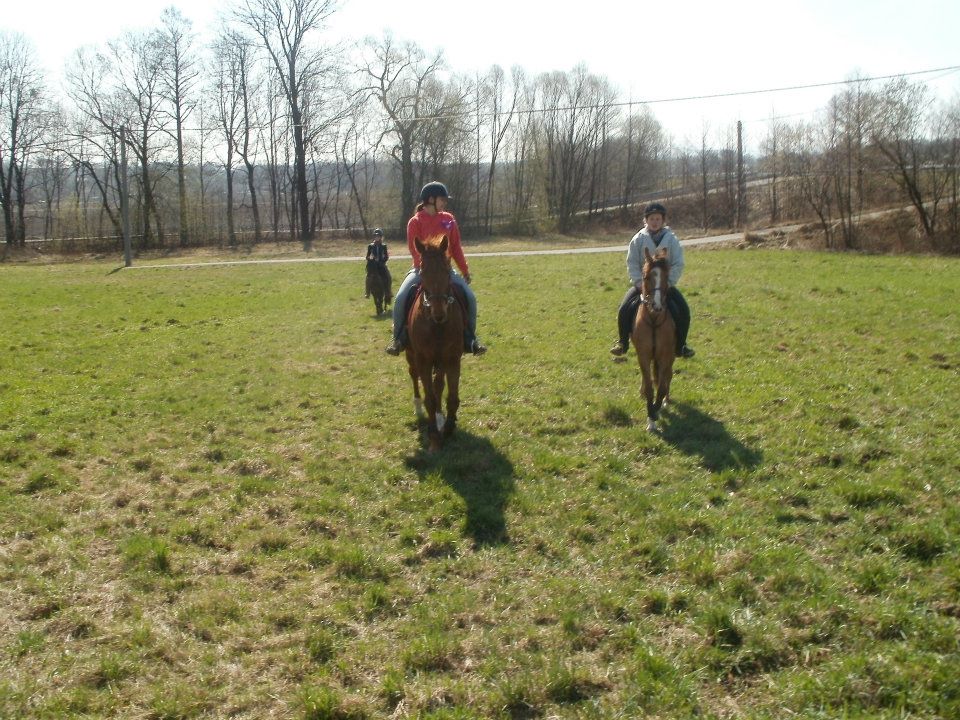 558942_377318238975540_100000921000593_1090670_1224577467_n