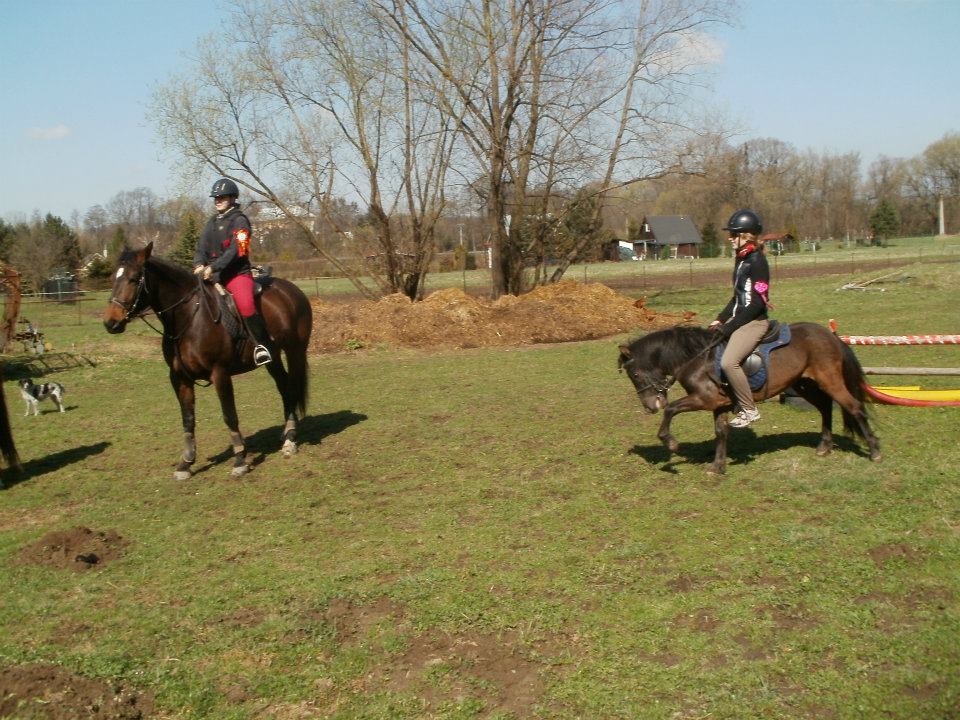 576393_377316988975665_100000921000593_1090653_1319754178_n