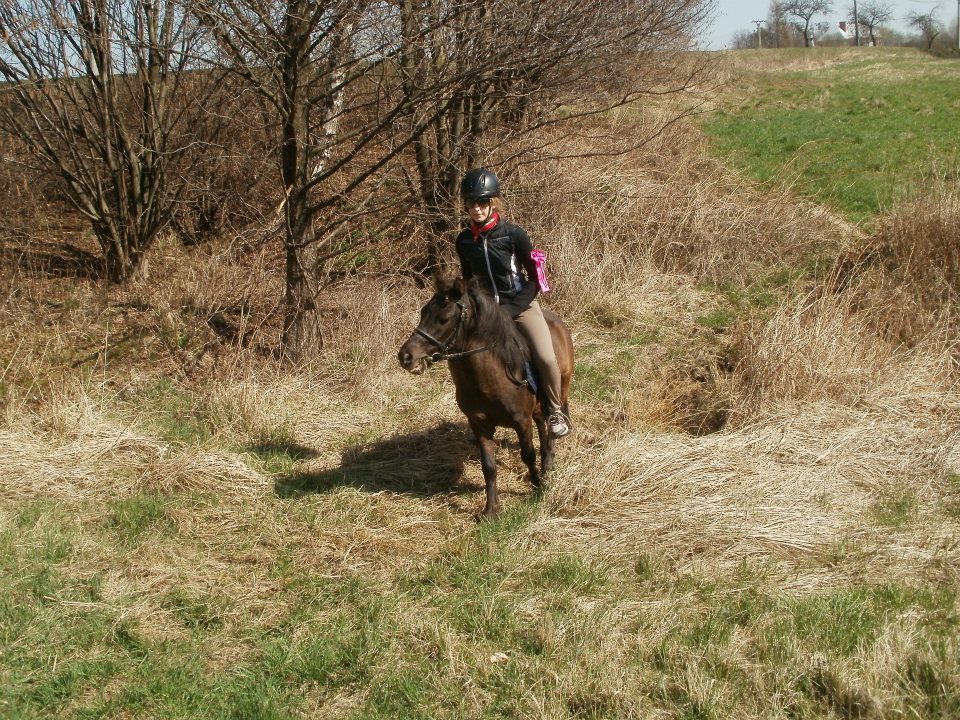 578774_377318485642182_100000921000593_1090673_658906486_n