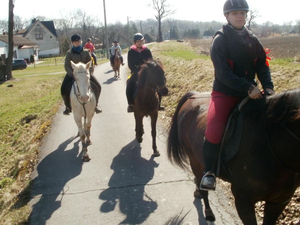 581070_377317258975638_100000921000593_1090658_1453659391_n