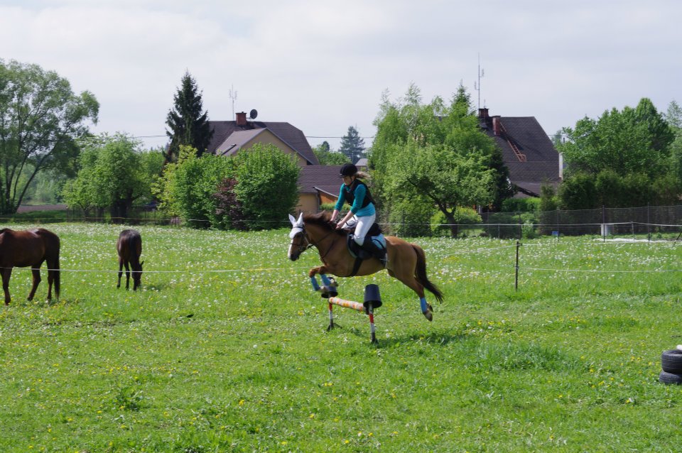 35924_401441873229843_100000921000593_1147615_707201158_n