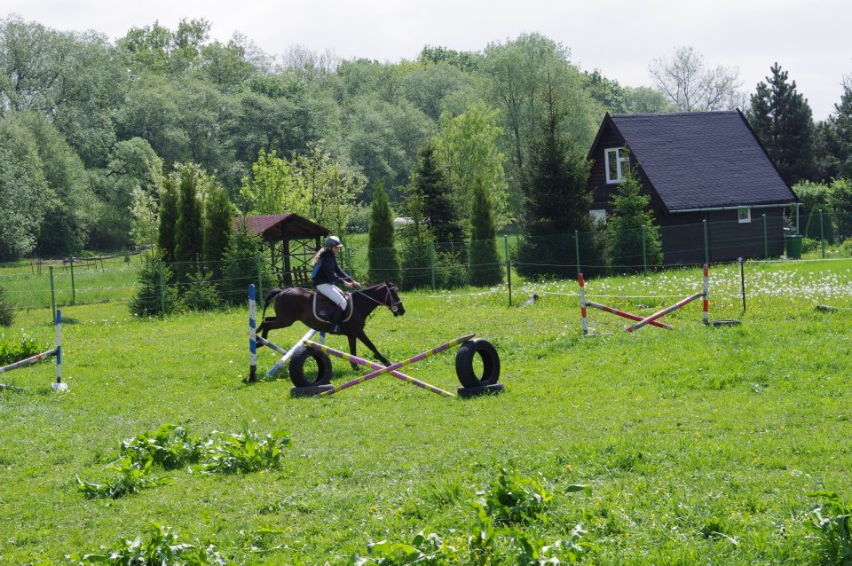 74734_401443526563011_100000921000593_1147670_1085697960_n