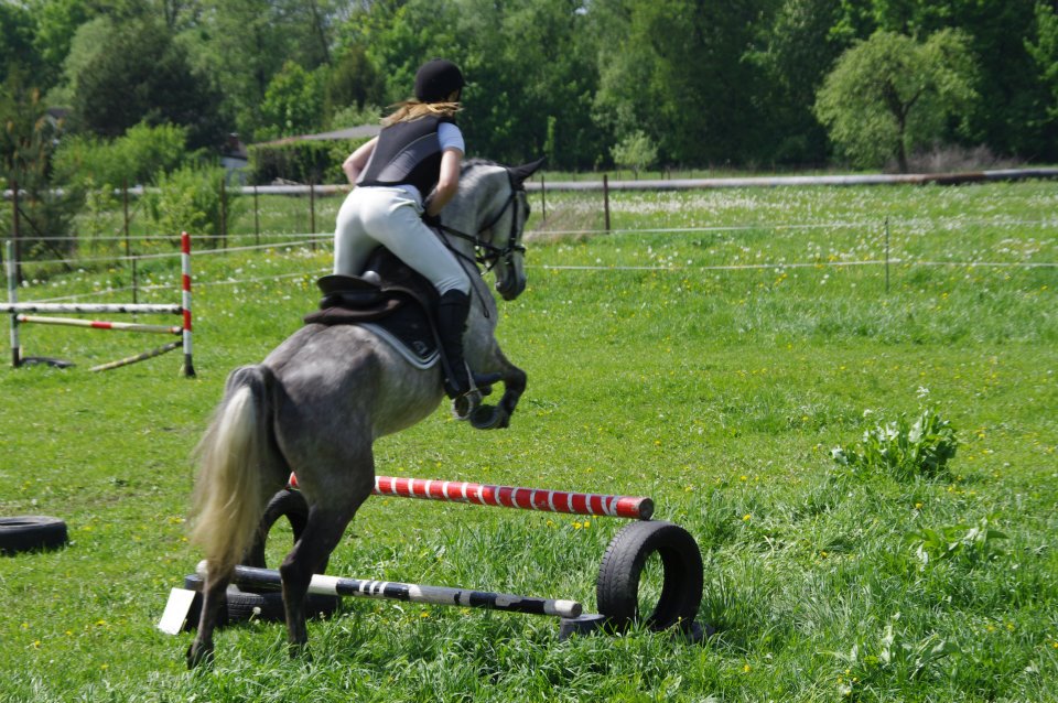 154740_401448906562473_100000921000593_1147764_1516652057_n