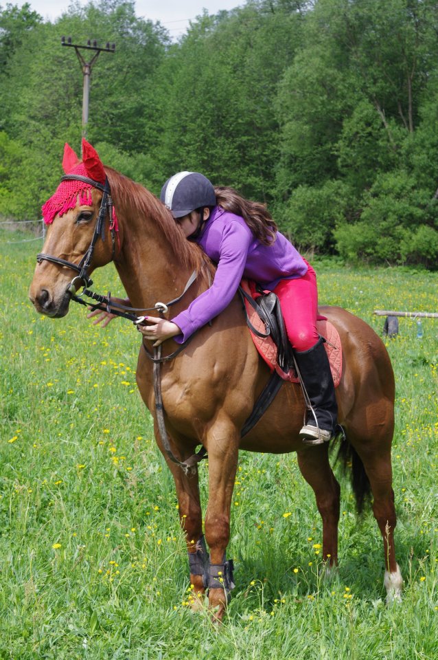 292144_401440366563327_100000921000593_1147603_267853320_n