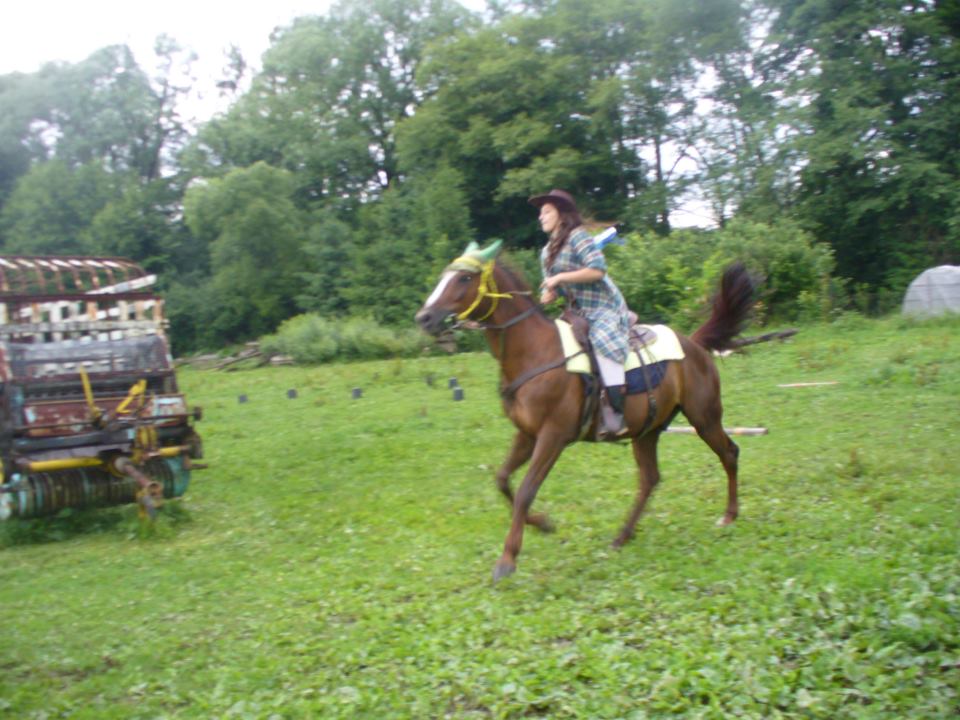 600070_459760737384555_22758511_n