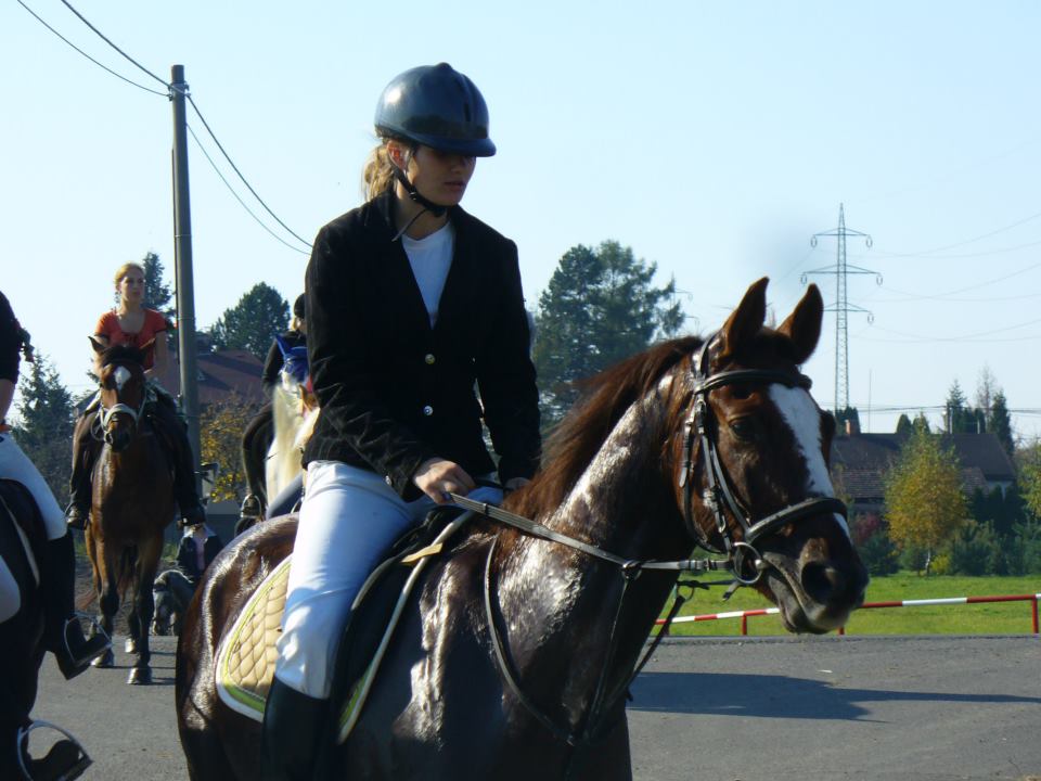 60781_522509494443012_672167489_n