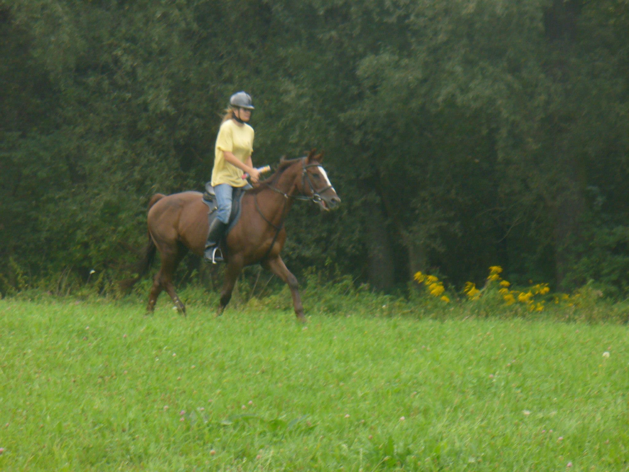 192995_503001919727103_934734446_o