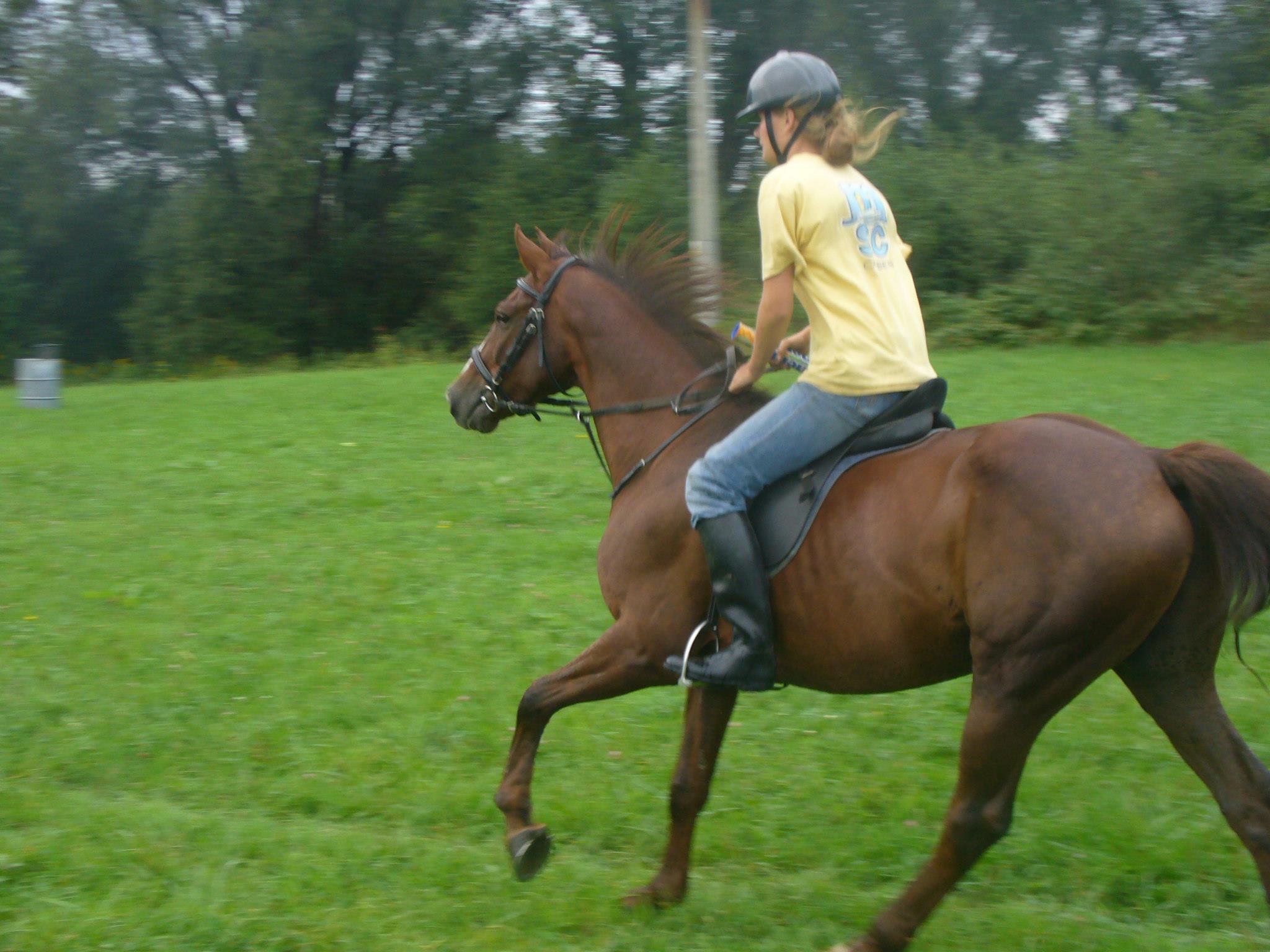 220565_503001643060464_714654380_o