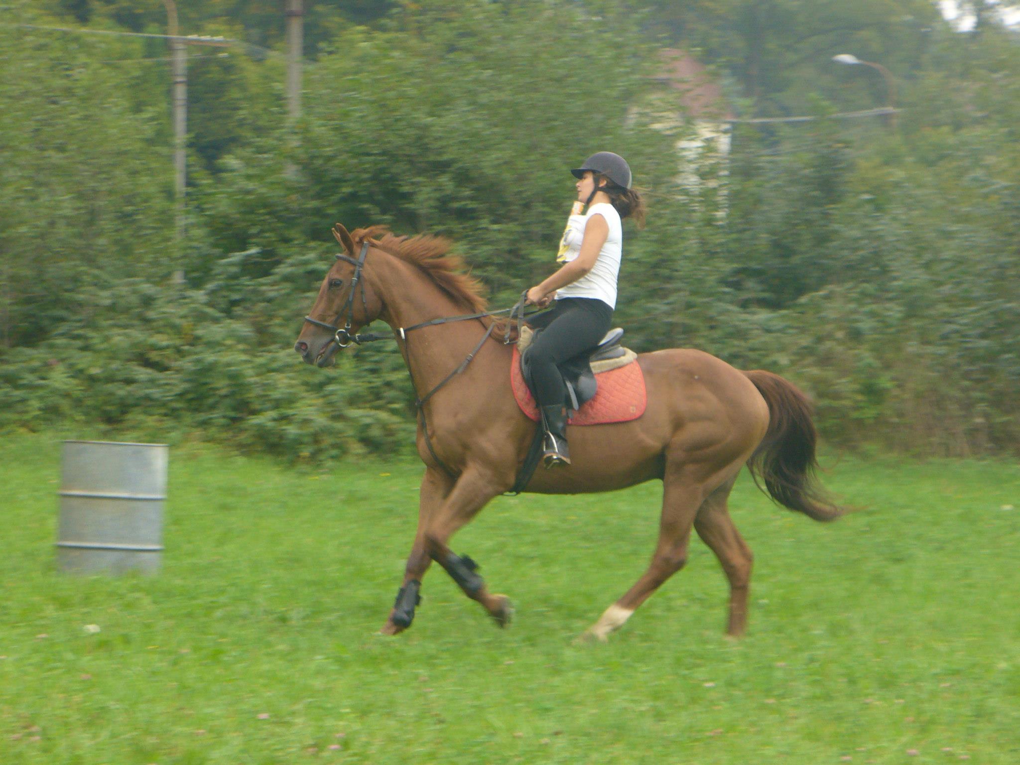 462226_503006259726669_1669040633_o