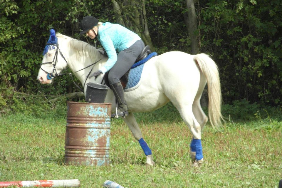 533612_486710181348904_721461420_n