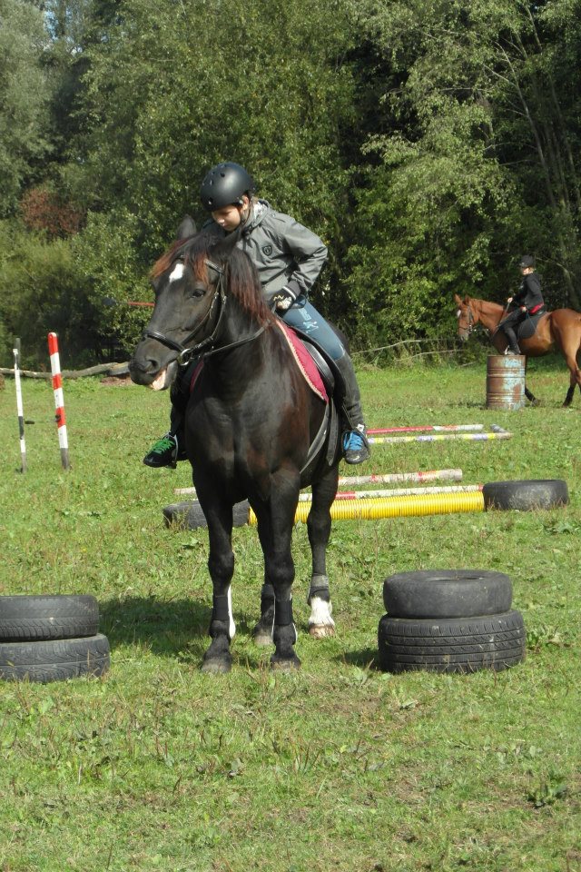 282228_486703598016229_1431759936_n